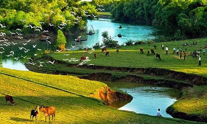 Những mảng màu ký ức về một mùa hạ trong trẻo luôn hiện hữu trong tâm hồn mỗi người.