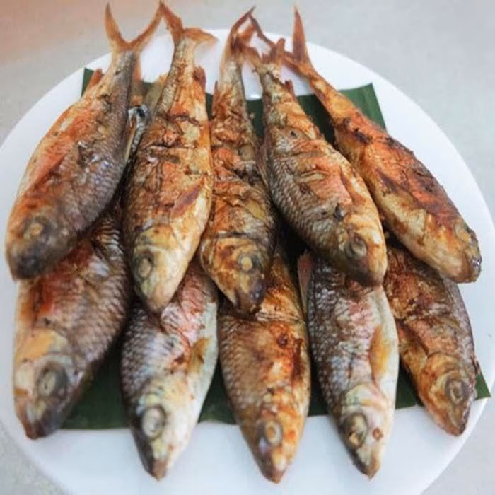 Cá mát sông Giăng - loại cá quý với thịt ngọt, ít xương.