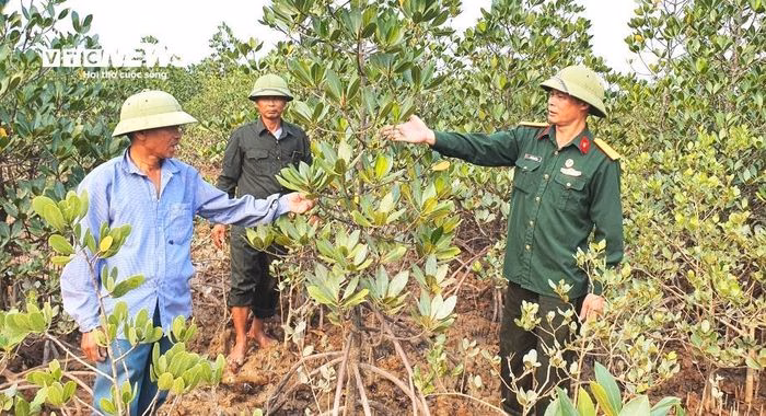 Quá trình theo dõi và chăm sóc cây non đòi hỏi sự kiên trì tuyệt đối để đảm bảo tỷ lệ sống cao nhất.