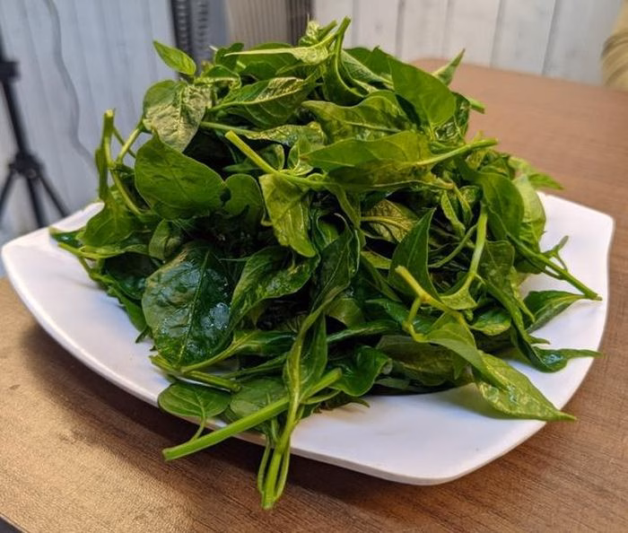 Hãy chọn những ngọn lá ớt non nhất để món ăn mềm và dễ hấp thu.