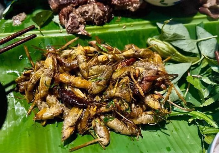 Muồm muỗm chiên giòn rắc lá chanh là món ăn khoái khẩu của nhiều dân nhậu.