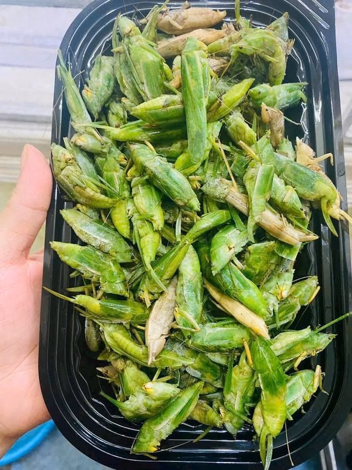 Muồm muỗm xanh đặc sản quý hiếm