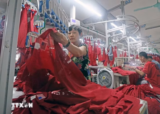 Dây chuyền may xuất khẩu sang Mỹ - một trong những lĩnh vực then chốt giúp doanh nghiệp Việt tích lũy nguồn lực để đầu tư ra quốc tế. (Ảnh: Trần Việt/TTXVN)